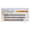 Gene false ChromArt Premium Silk Lashes - Silky Look 10